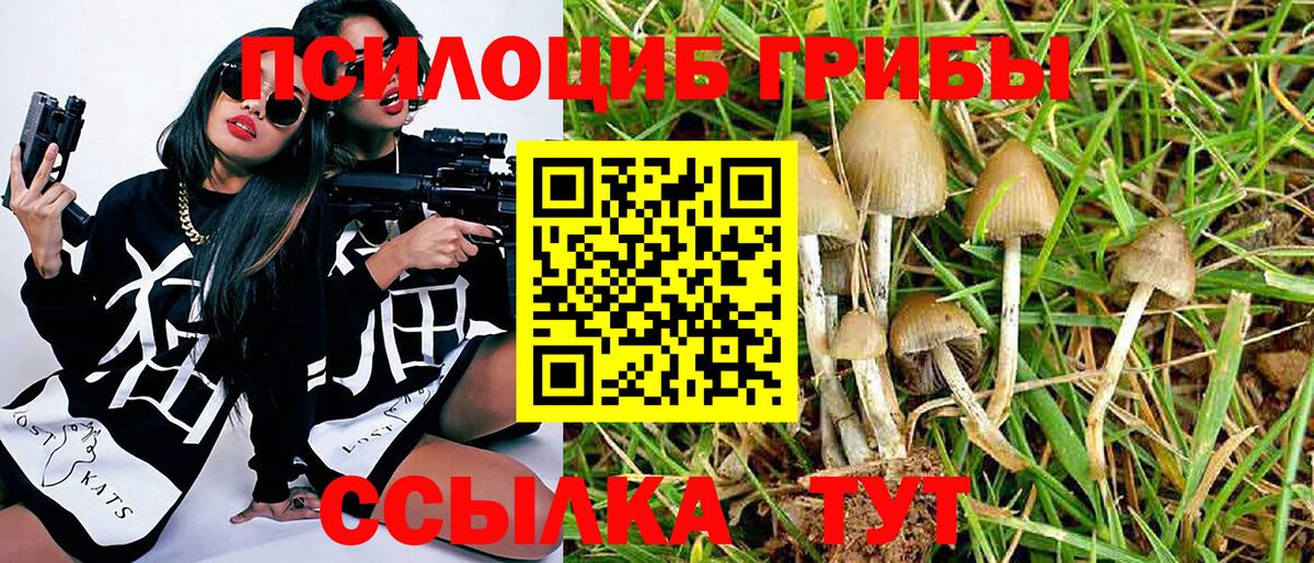 Тавда  Псилоцибиновые грибы Psilocybe  как найти наркотики  Псилоцибиновые грибы MAGIC MUSHROOMS  Вход с VPN 